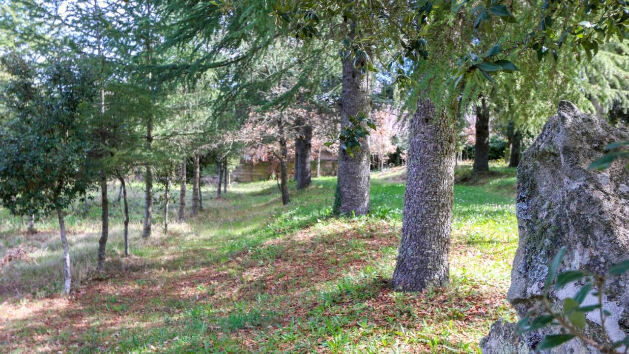 فيلا Welcomely - Country House Perda E Testa مامويادا المظهر الخارجي الصورة